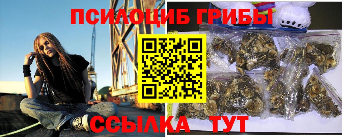 Новороссийск  Галлюциногенные грибы прущие грибы  Вход с VPN 